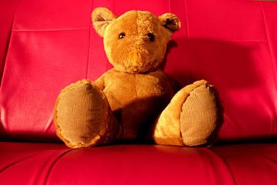 Citizen Dog Fotoğrafı