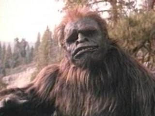 Koca Ayak: Unutulmaz Karşılaşma Fotoğrafı