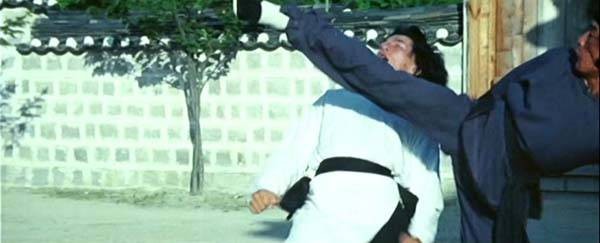 Ejder Yumruğu Fotoğrafı