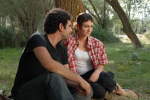 Peri Tozu Fotoğrafı