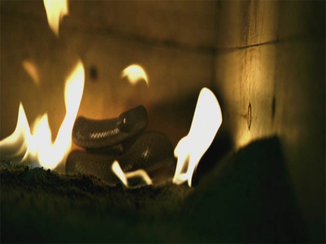 Toprak Altında Fotoğrafı