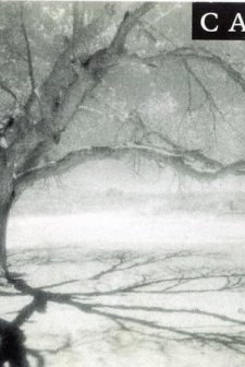 Camino (2006) afişi