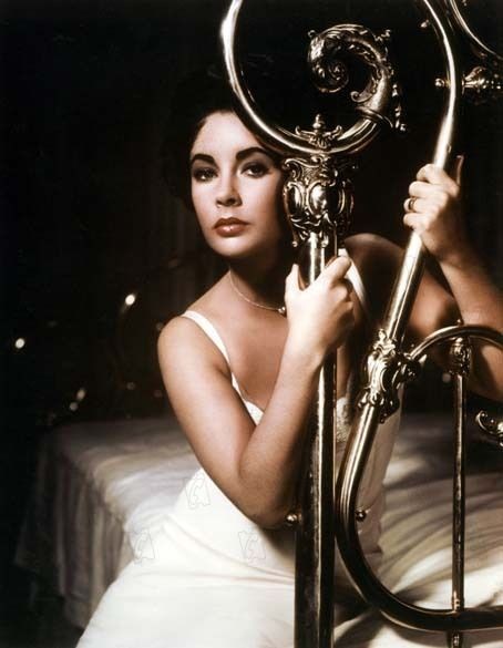 Kızgın Damdaki Kedi Fotoğrafı