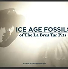 Ice Age Fossils Of The La Brea Tar Pits (2004) afişi