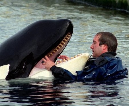 Özgür Willy Fotoğrafı