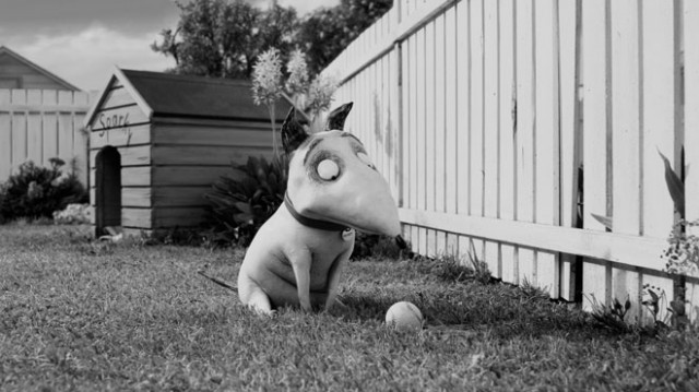 Frankenweenie Fotoğrafı