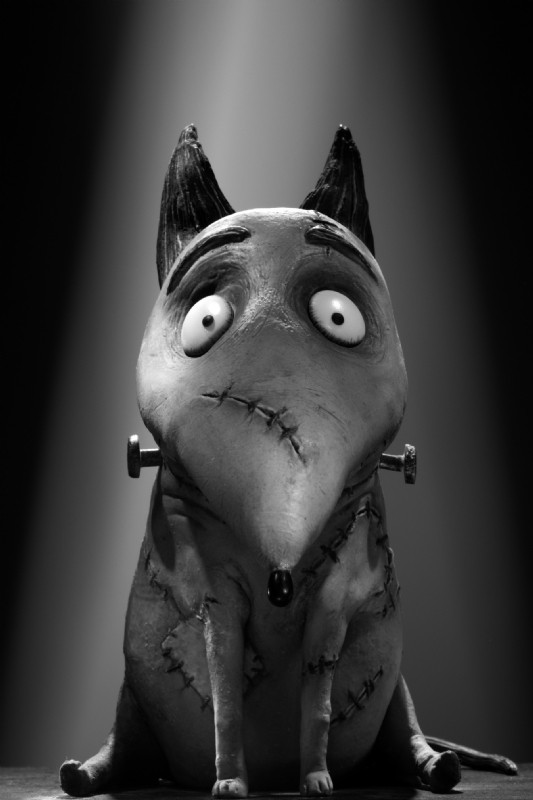 Frankenweenie Fotoğrafı