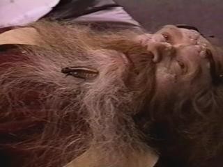 Bug Buster Fotoğrafı