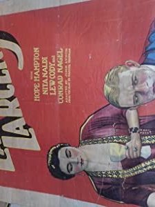 Lawful Larceny (1923) afişi