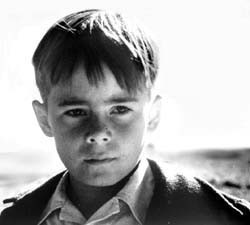 Who Has Seen the Wind fotoğrafı