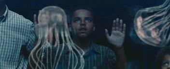 Yedi Yaşam Fotoğrafı