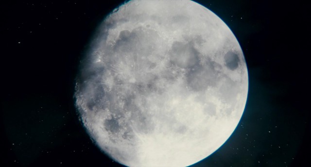 Kurt Adam Fotoğrafı