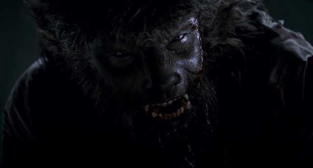 Kurt Adam Fotoğrafı