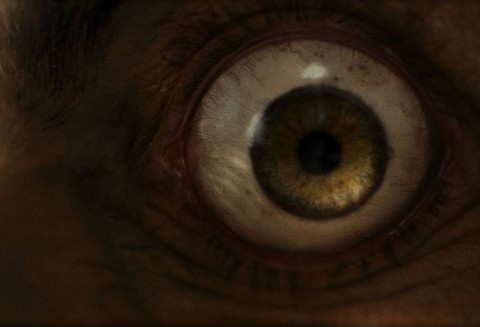 Kurt Adam Fotoğrafı