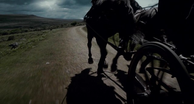 Kurt Adam Fotoğrafı