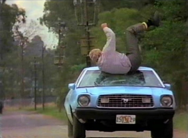 Tropical Heat Fotoğrafı