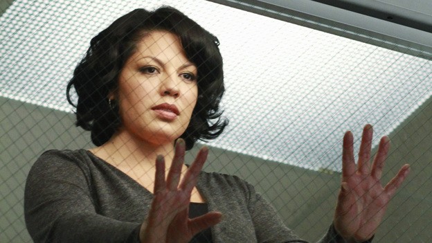 Grey's Anatomy Fotoğrafı