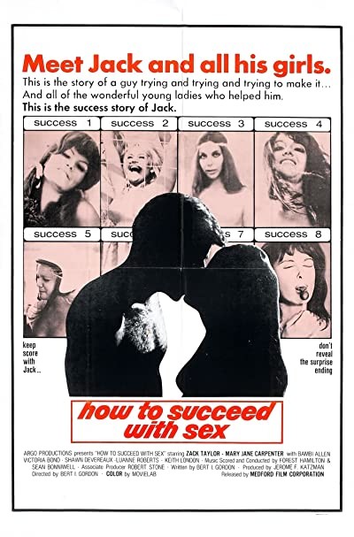 How To Succeed With Sex (1970) afişi