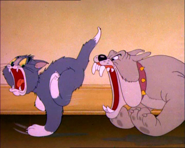 Dog Trouble Fotoğrafı