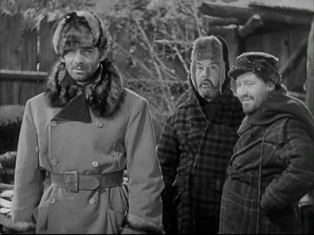 The Call Of The Wild Fotoğrafı