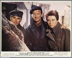 Navaron'un Topları fotoğrafı