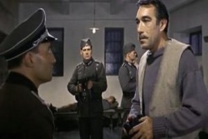 Navaron'un Topları Fotoğrafı