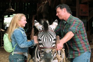 Şampiyon Zebra fotoğrafı