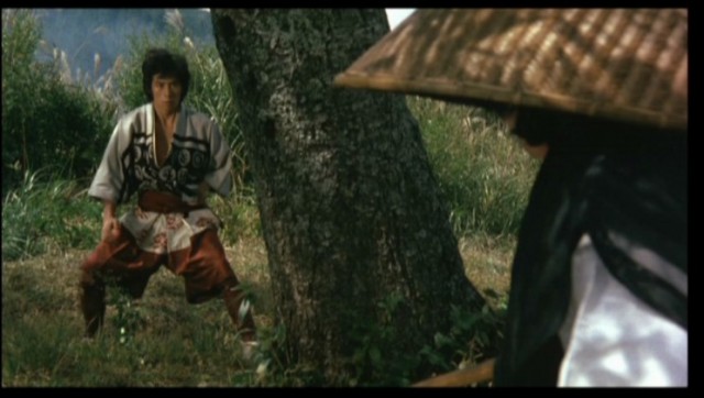 The Ninja Wars Fotoğrafı