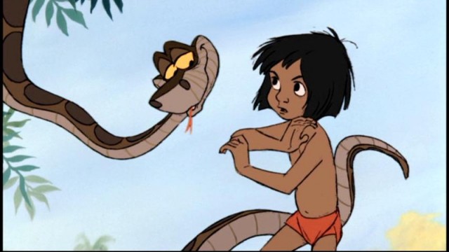 Orman Çocuğu Fotoğrafı