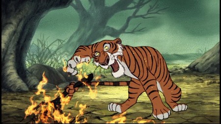 Orman Çocuğu Fotoğrafı