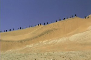 Anka´nın Uyanışı Fotoğrafı