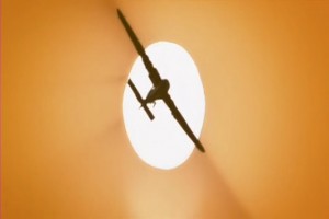 Anka´nın Uyanışı Fotoğrafı