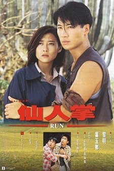 Run (1994) afişi