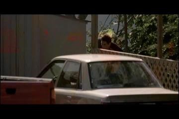 World Traveler fotoğrafı