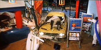 Tiger On The Beat Fotoğrafı