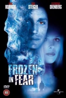 Uçan Hollandalı (2001) afişi