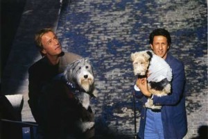 Hercule Ve Sherlock Fotoğrafı