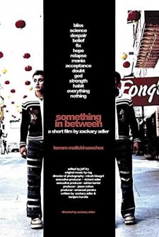Something In Between (2002) afişi