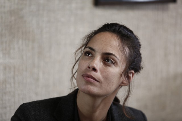 Arayış fotoğrafı