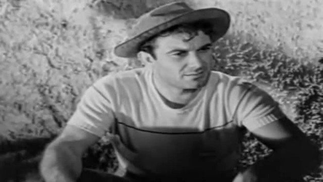 Fosforlu Cevriye Fotoğrafı