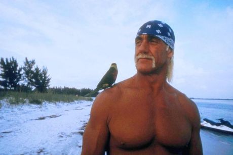 McCinsey's Island fotoğrafı