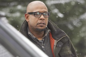 Lanetli Bataklık Fotoğrafı