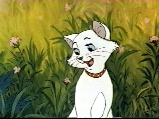 Aristokediler Fotoğrafı