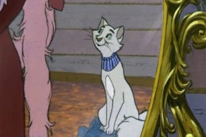 Aristokediler Fotoğrafı