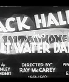 Salt Water Daffy (1933) afişi