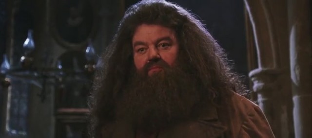 Harry Potter ve Sırlar Odası Fotoğrafı