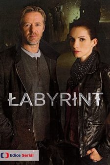 Labyrint (2015) afişi
