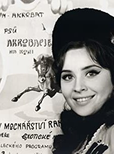 Lidé Z Maringotek (1966) afişi