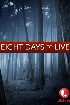 Oğlumun Peşinde (2006) afişi