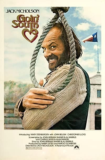 Güneye Yolculuk (1978) afişi